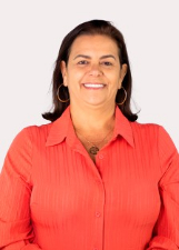 Foto oficial de Irani Silveira