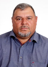 Foto oficial de Andorinha