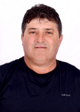 Foto oficial de Rosemar Hentges