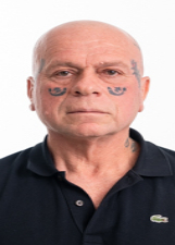 Foto oficial de Delegado Girardi