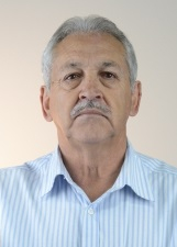 Foto oficial de Sabiá