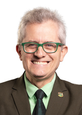 Foto oficial de João Henrique Dentinho